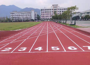 华埠中学全塑型自结纹跑道